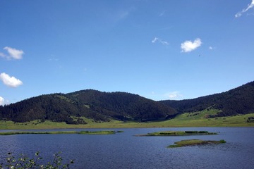 IMGP9379.JPG