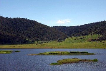 IMGP9381.JPG