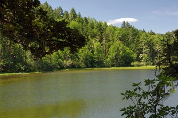 IMGP9407.JPG