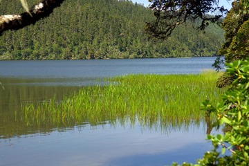 IMGP9412.JPG