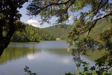 IMGP9415.JPG