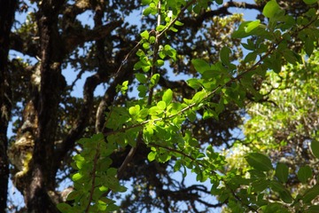 IMGP9416.JPG