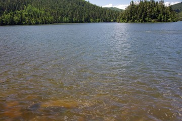 IMGP9434.JPG
