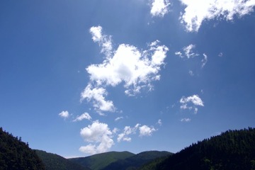 IMGP9463.JPG