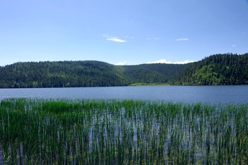IMGP9474.JPG