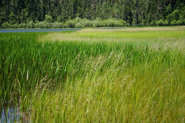 IMGP9476.JPG
