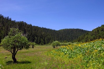 IMGP9556.JPG
