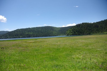 IMGP9503.JPG