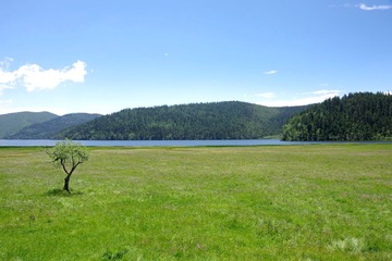IMGP9518.JPG