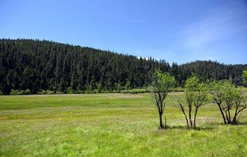 IMGP9524.JPG