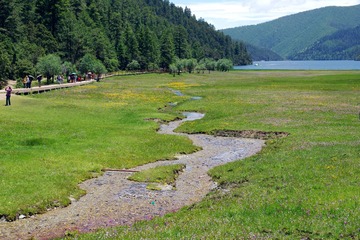 IMGP9540.JPG