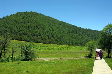 IMGP9570.JPG