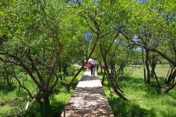 IMGP9575.JPG