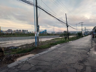 3610446