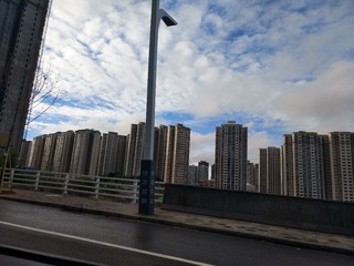 3610423