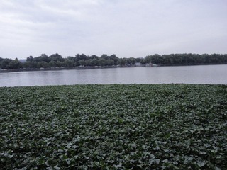 后海