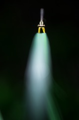 933254
