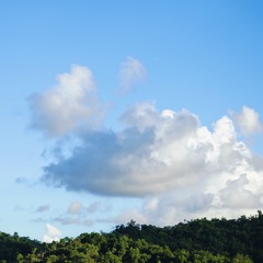 1000005361