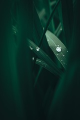 201033