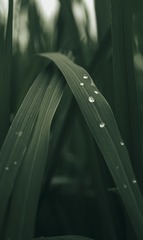 201034