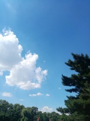 1F8F6D36-EE88-4808-BD3C-37C983309AE5/L0/001