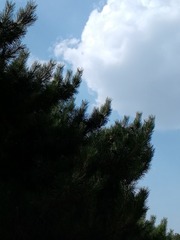 8250CC6C-3A44-49D8-88D2-6A2440B4701E/L0/001