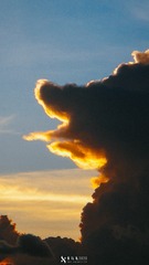 568592