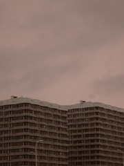 49987