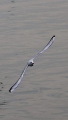 99302