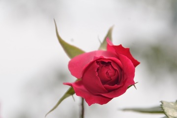 36680
