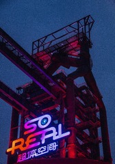 323651
