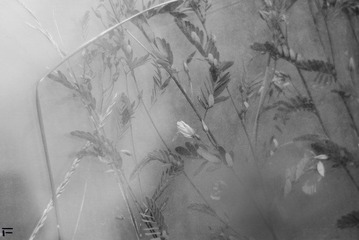 玻璃花