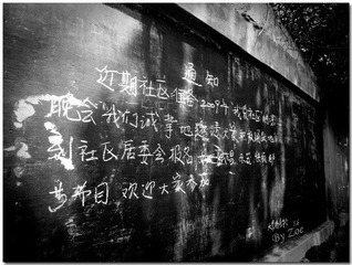 这里是青岛