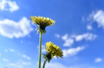 A9157A73-1CF6-40D3-A37D-5D49A61823AD/L0/001