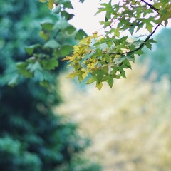 FA27774E-A422-4F5F-BC0D-19DC0D404A82/L0/001