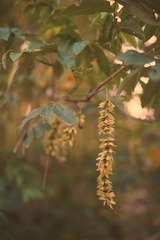 34E0B373-520C-48CF-AD82-EBC0953D7C5A/L0/001