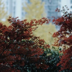 034D6935-BEA7-48DD-880B-C3AC6218028F/L0/001