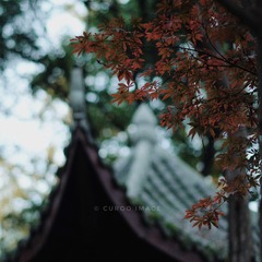 45B63940-F89C-400C-B685-935C8AFFA27F/L0/001