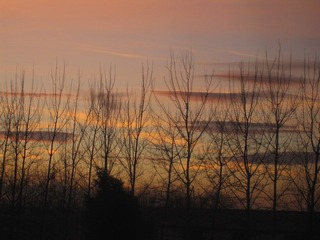 IMG_3014.JPG