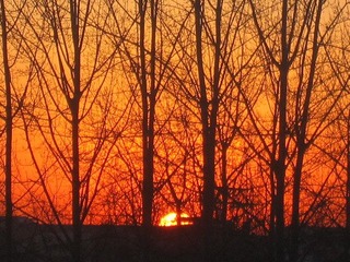IMG_3115.JPG