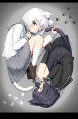 1568543