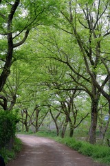 1196DE51-9B95-4243-A4E5-B9A08A3E0EE1/L0/001