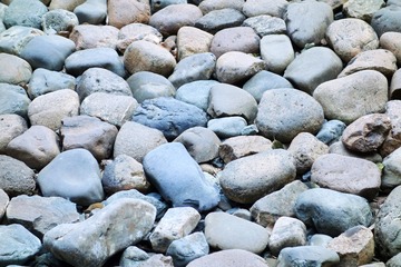 1000348847