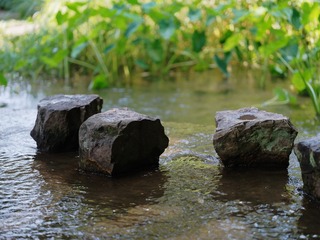 1000046477