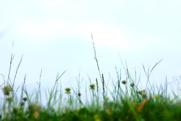 032DBE2F-FAC7-4170-9F06-1C71B0BBF538/L0/001