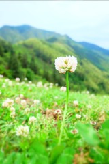 CC8265AE-C6D2-42F4-948C-34CC7A400E49/L0/001