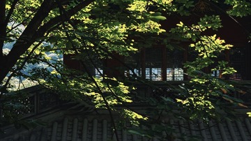 A9E2711F-8732-4107-A97F-E09C5629FFB4/L0/001