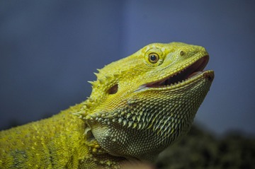101570