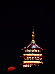 857858CE-FC4B-4440-BA7A-2F7D283F4368/L0/001