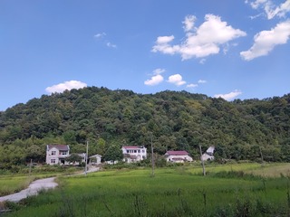733495